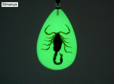 Luminous Real Scorpion Keychain - Done by Lemon 